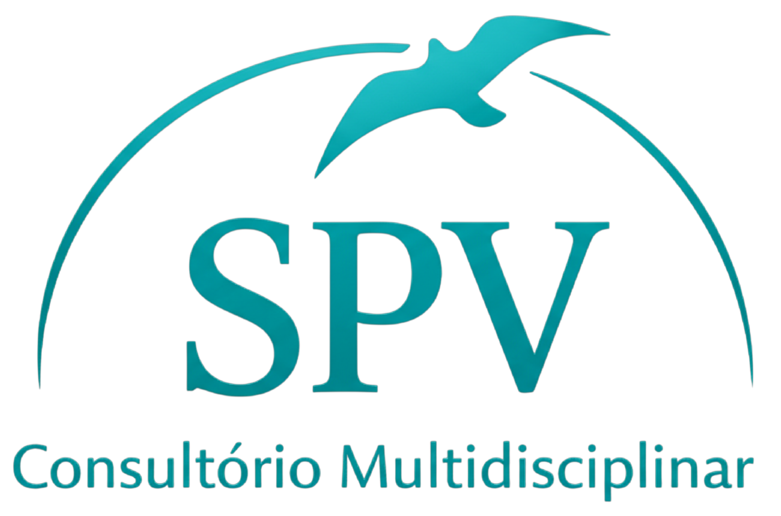 spv (2)